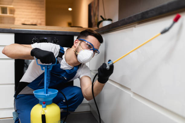 Best Best Pest Control Companies  in Rosepine, LA