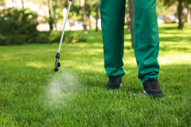 Best Local Pest Control Services  in Rosepine, LA
