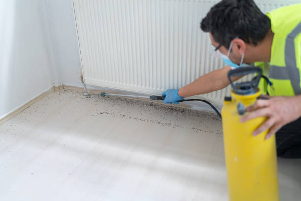 Best Best Pest Control Companies  in Rosepine, LA
