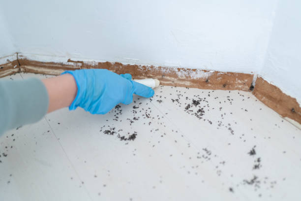 Pest Control Cost in Rosepine, LA